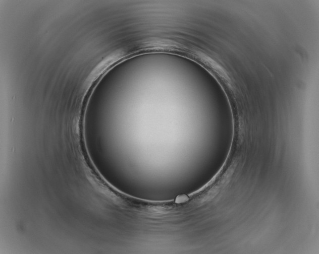 X0000113941330200909251232