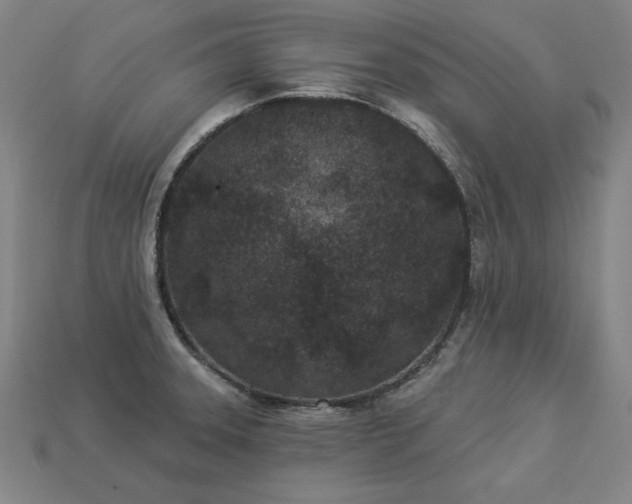 X0000113941331200909251232