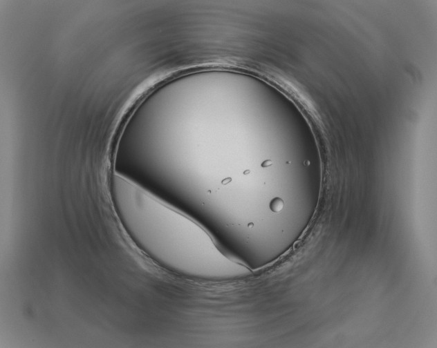 X0000113941332200909251232