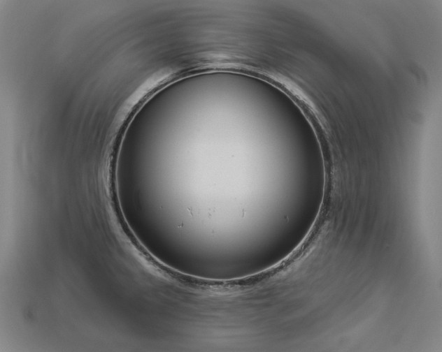 X0000113941333200909251232
