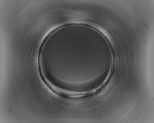 X0000113941334200909251232