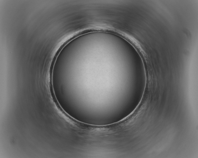 X0000113941335200909251232