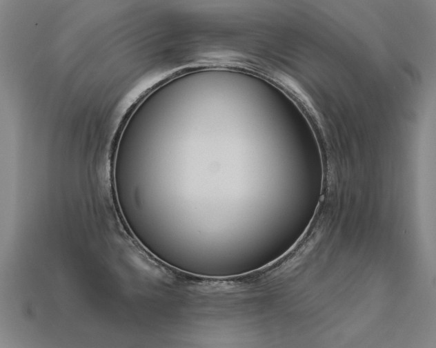 X0000113941336200909251232