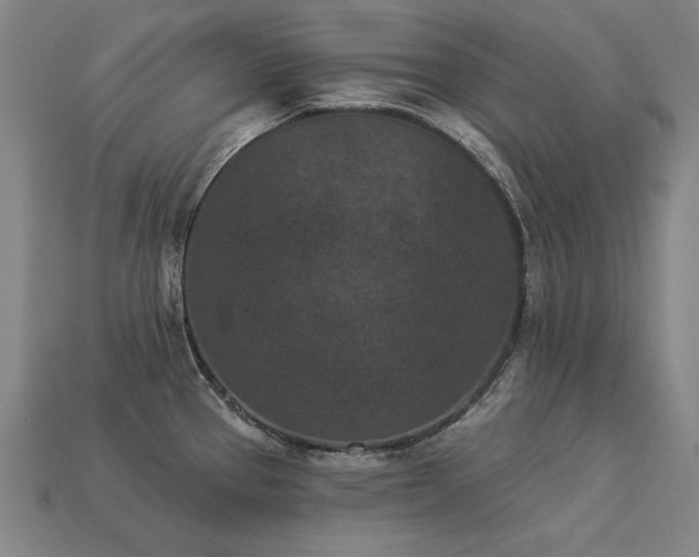 X0000113941337200909251232