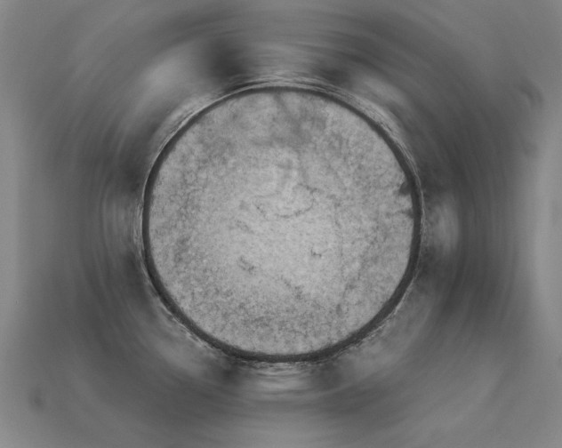 X0000113941338200909251232
