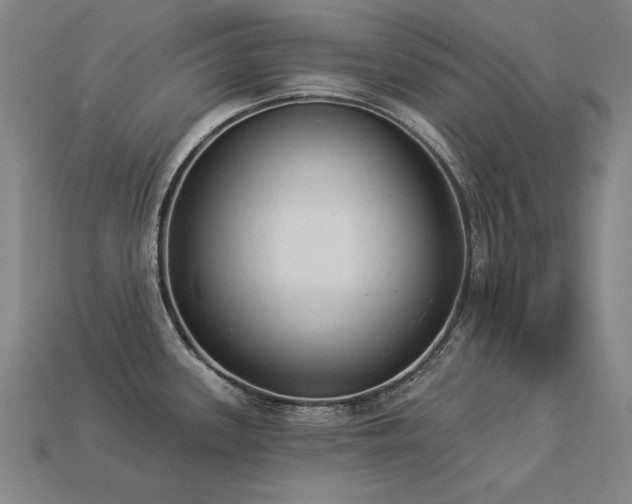 X0000113941339200909251232