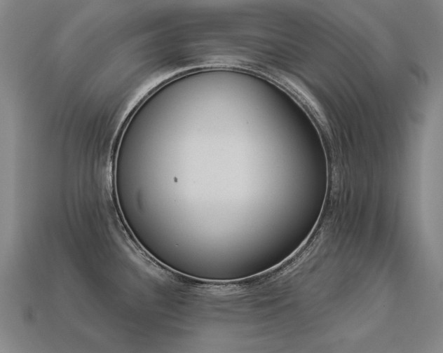 X0000113941340200909251232