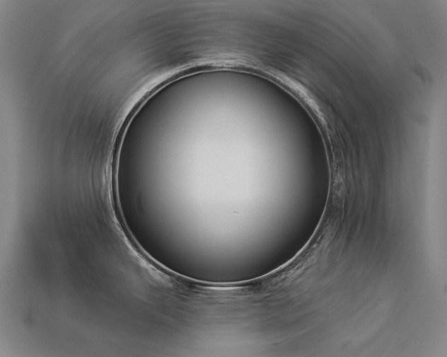 X0000113941343200909251232