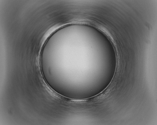 X0000113941344200909251232
