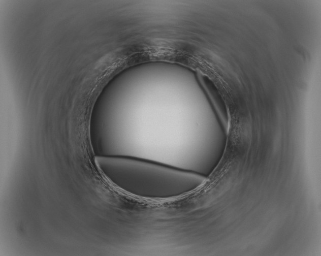 X0000113941345200909251232