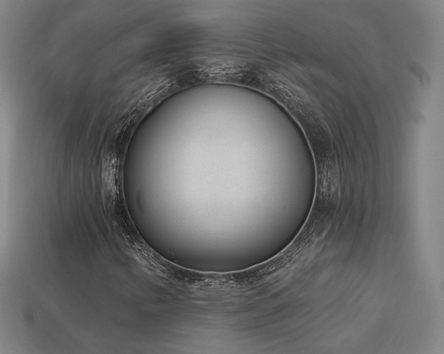 X0000113941346200909251232