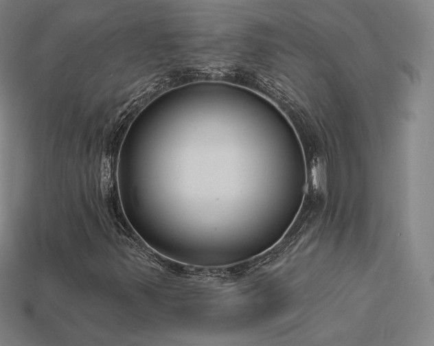 X0000113941347200909251232