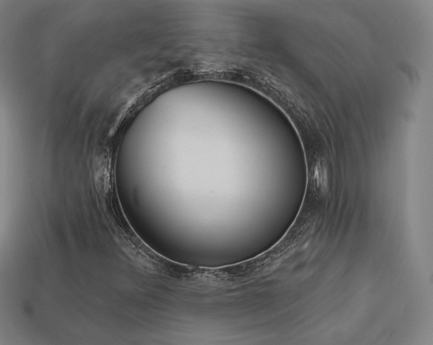 X0000113941348200909251232