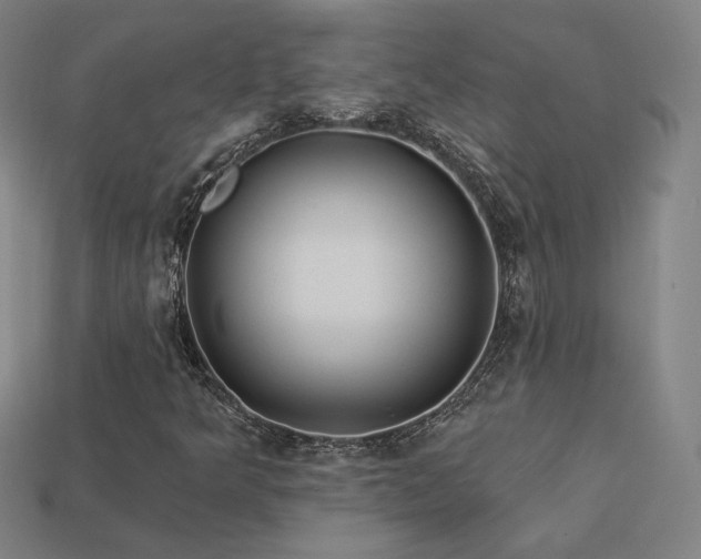 X0000113941349200909251232