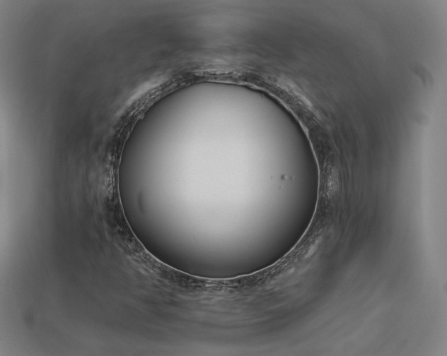 X0000113941350200909251232