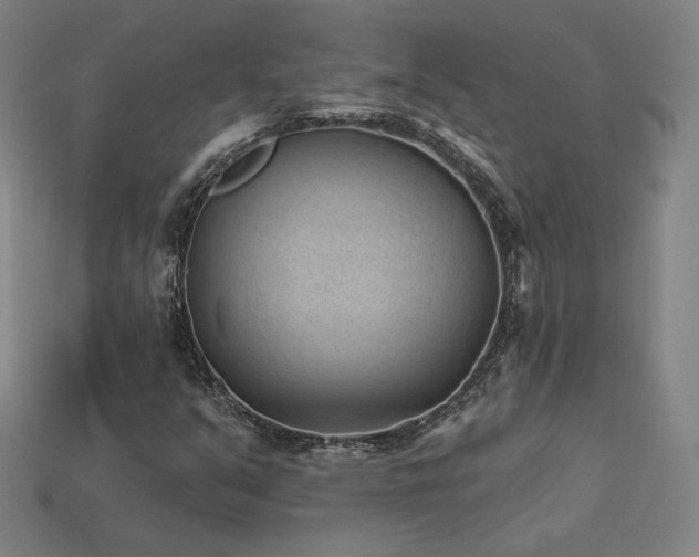 X0000113941351200909251232