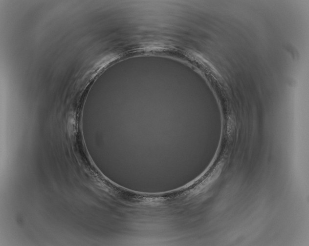 X0000113941353200909251231