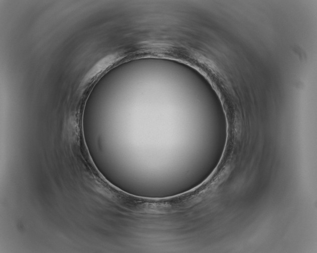 X0000113941354200909251231