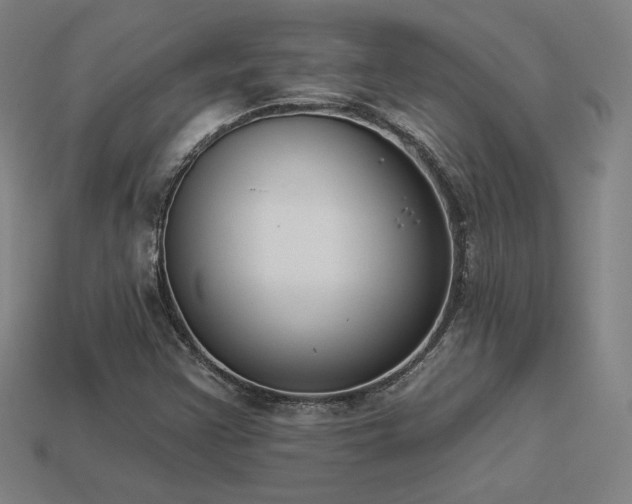 X0000113941355200909251231