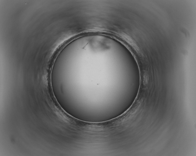 X0000113941356200909251231