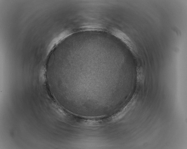 X0000113941357200909251231