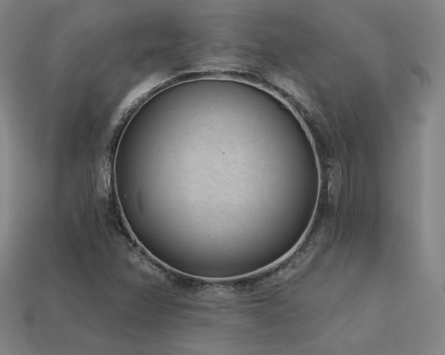 X0000113941358200909251231