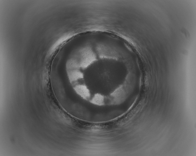 X0000113941359200909251231