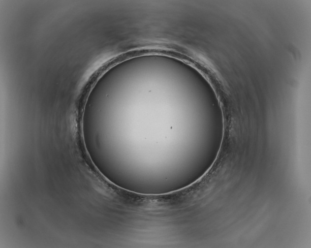 X0000113941360200909251231