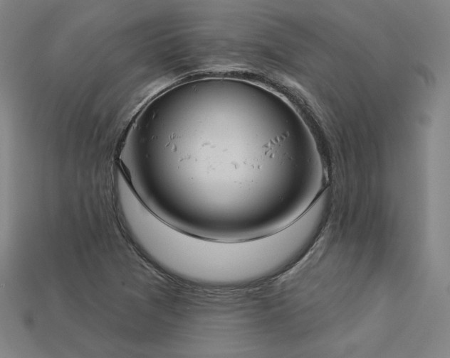 X0000113941361200909251231