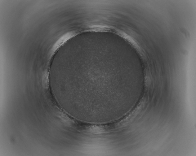 X0000113941362200909251231