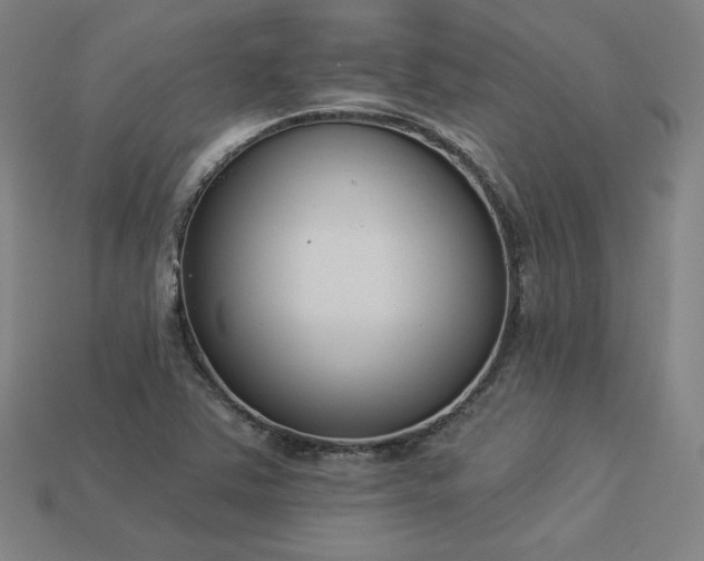 X0000113941363200909251231