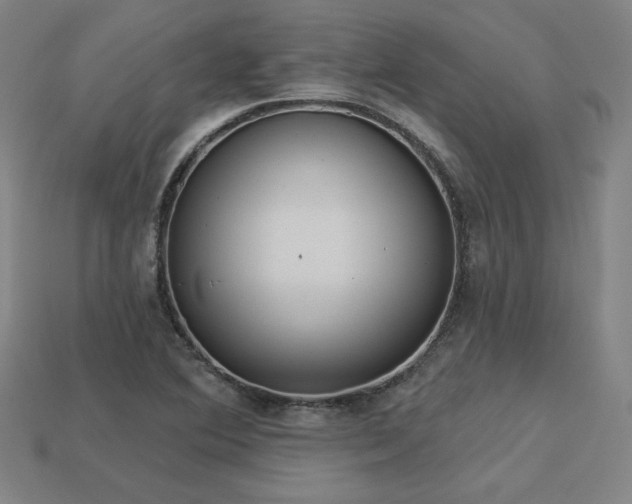 X0000113941364200909251231