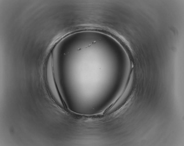 X0000113941365200909251231