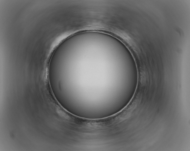 X0000113941366200909251231