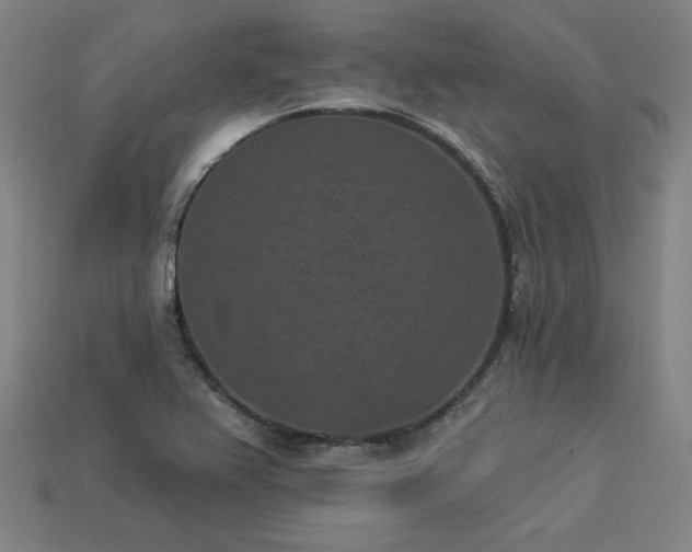 X0000113941367200909251231