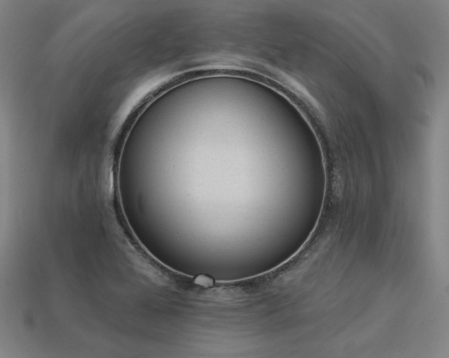X0000113941368200909251231