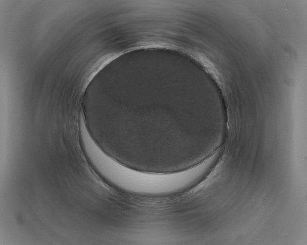 X0000113941369200909251231
