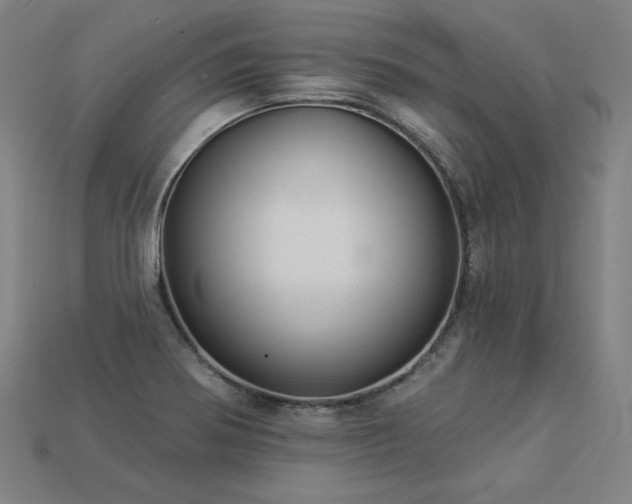 X0000113941370200909251231