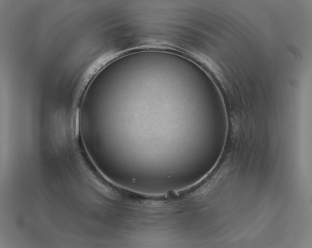 X0000113941371200909251231