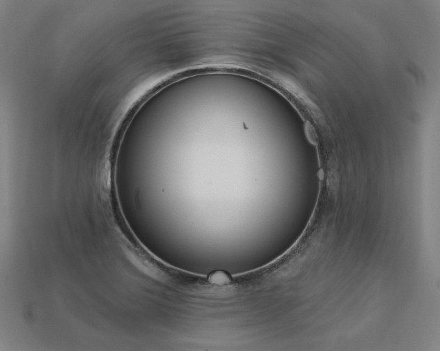 X0000113941372200909251231
