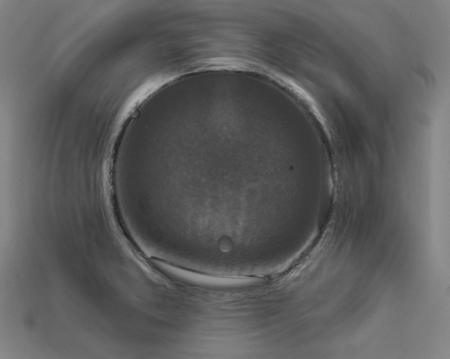 X0000113941373200909251231