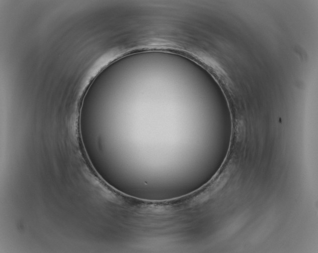X0000113941374200909251231