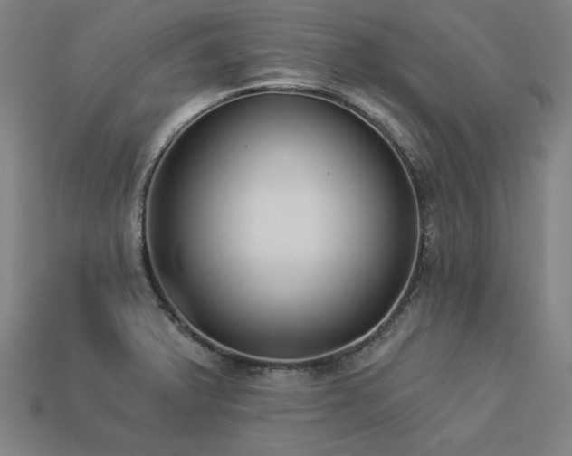 X0000113941375200909251231