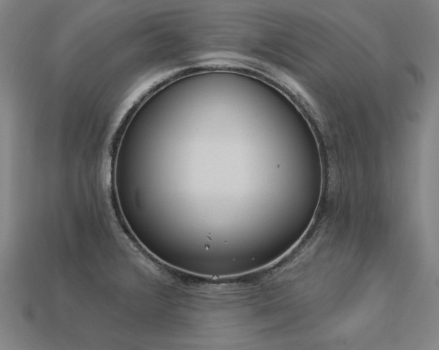 X0000113941376200909251231