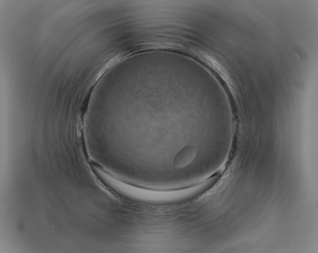 X0000113941377200909251231