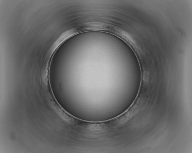 X0000113941378200909251231