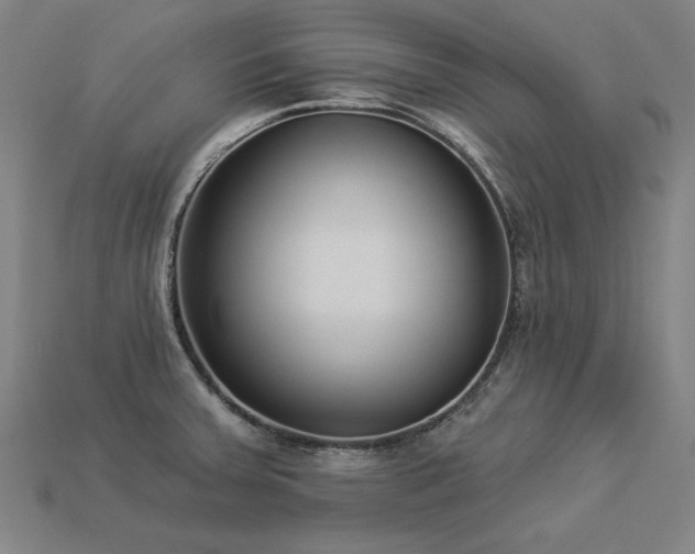 X0000113941379200909251231
