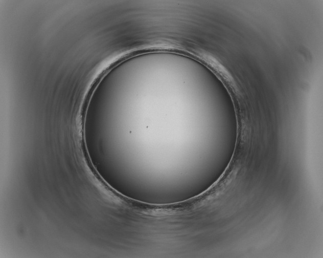 X0000113941380200909251231