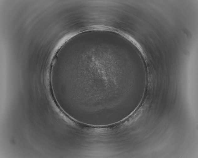 X0000113941381200909251231