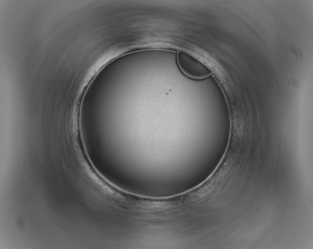 X0000113941382200909251231